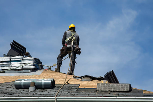 Professional Storm Damage Roof Repair technician working in Frostproof, FL